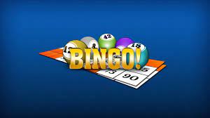 Which Bingo Site is Right For You